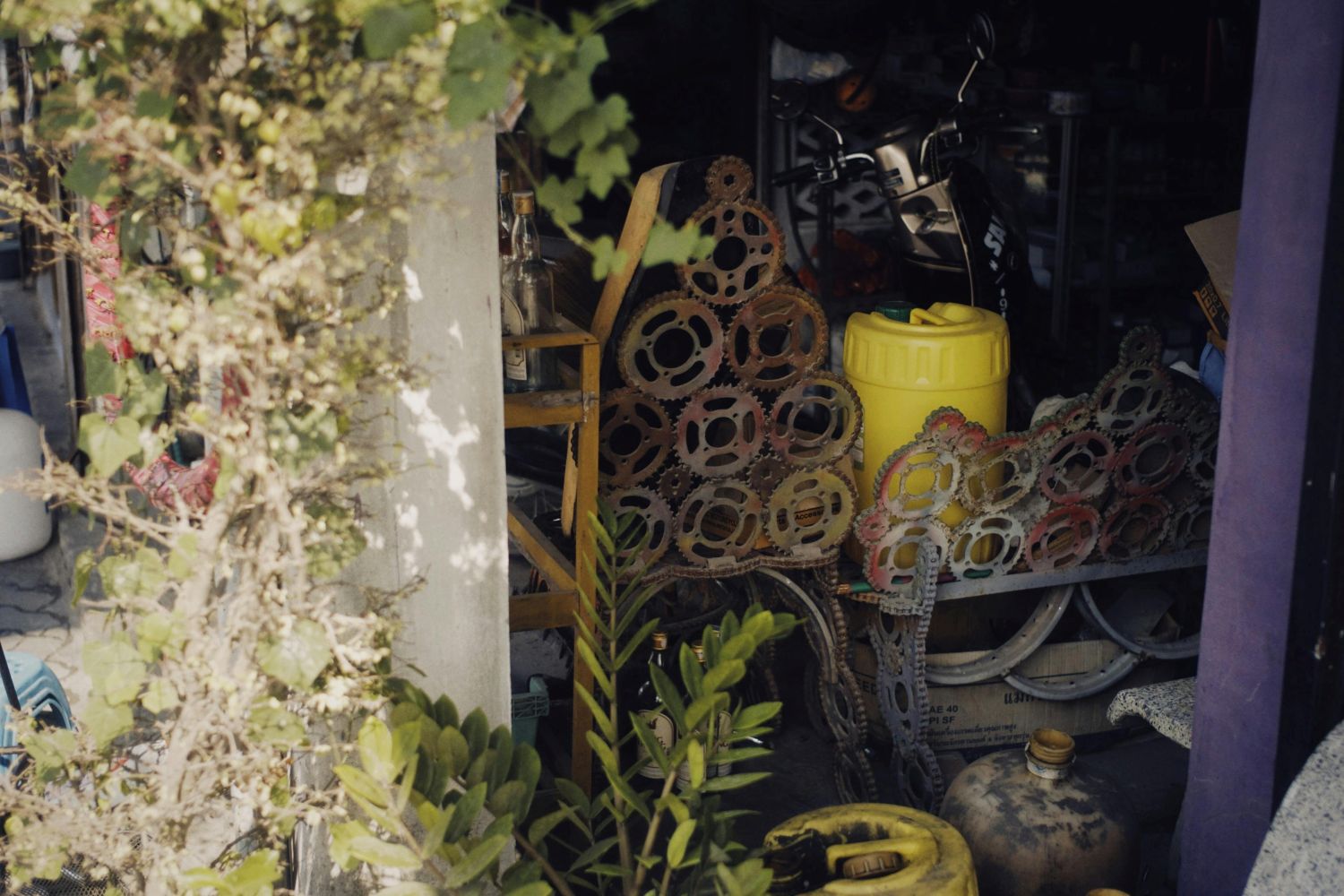 The True Cost of Medical Waste: Why Circularity is the Future